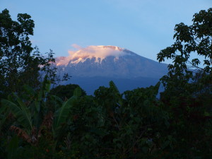 Über allem thront Mama Kilimanjaro, wie der Berg liebenswürdig von Einheimischen genannt wird